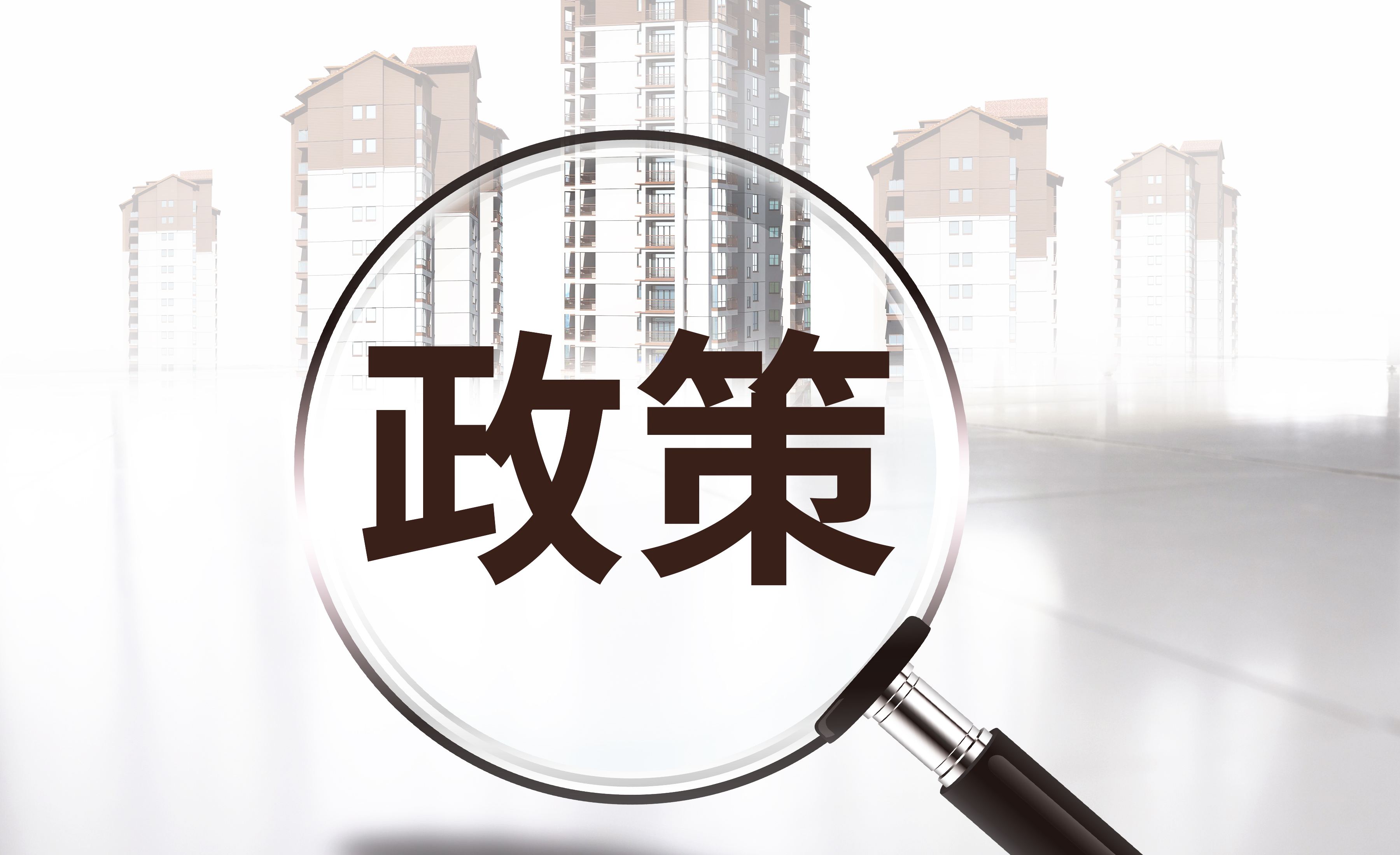 政策